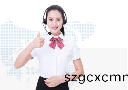 普賽特服務優勢